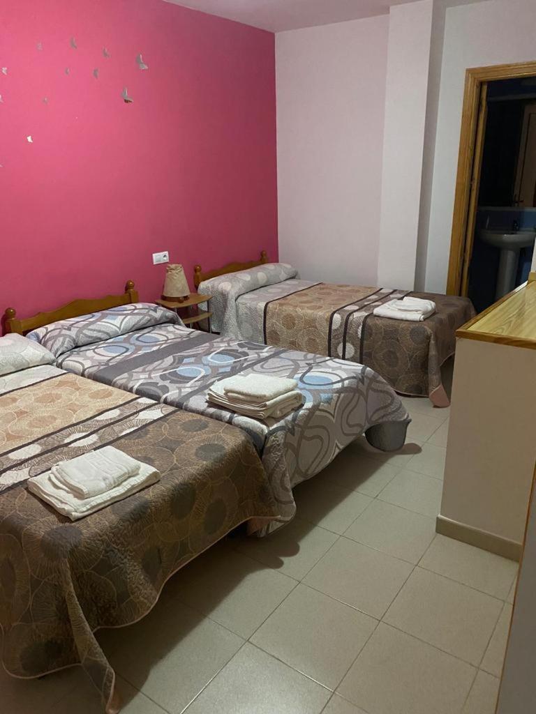 Hostal Y Apartamentos La Vereda 鲁伊德拉 外观 照片